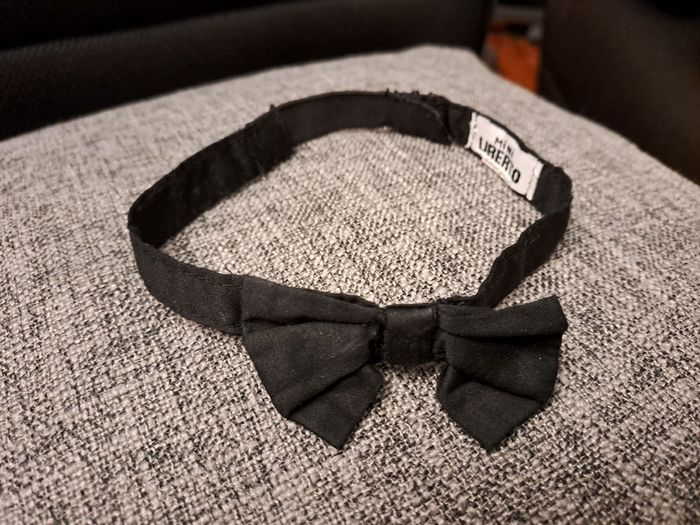 Nœud papillon 12M