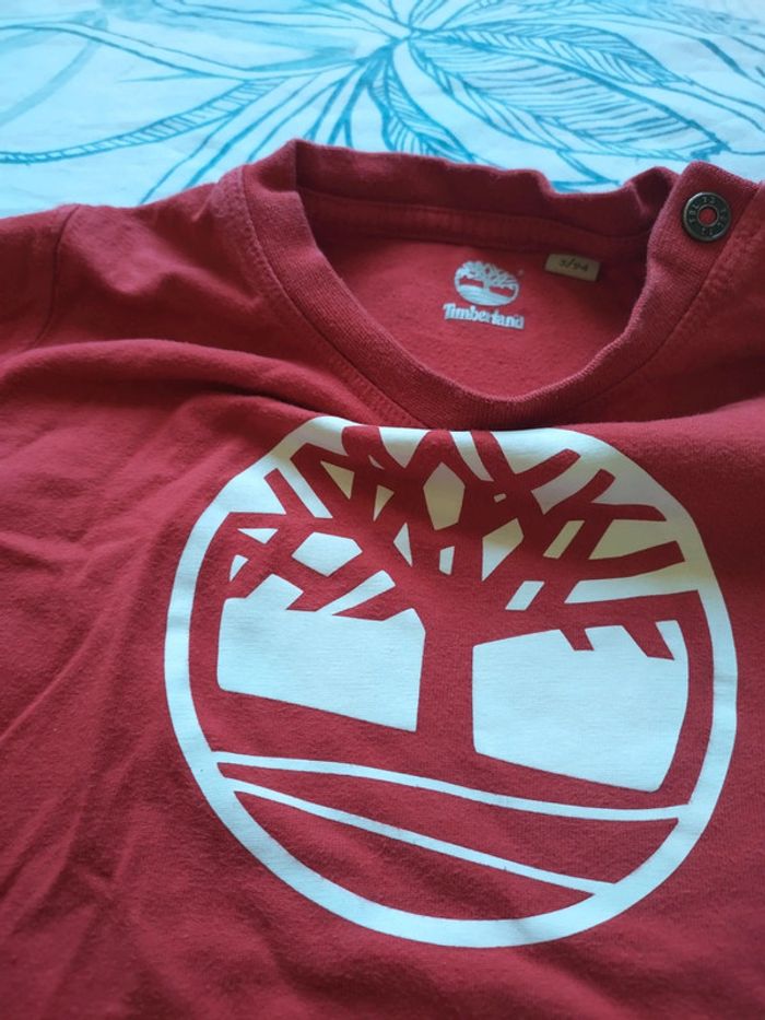 Tshirt manches longues Timberland - photo numéro 2