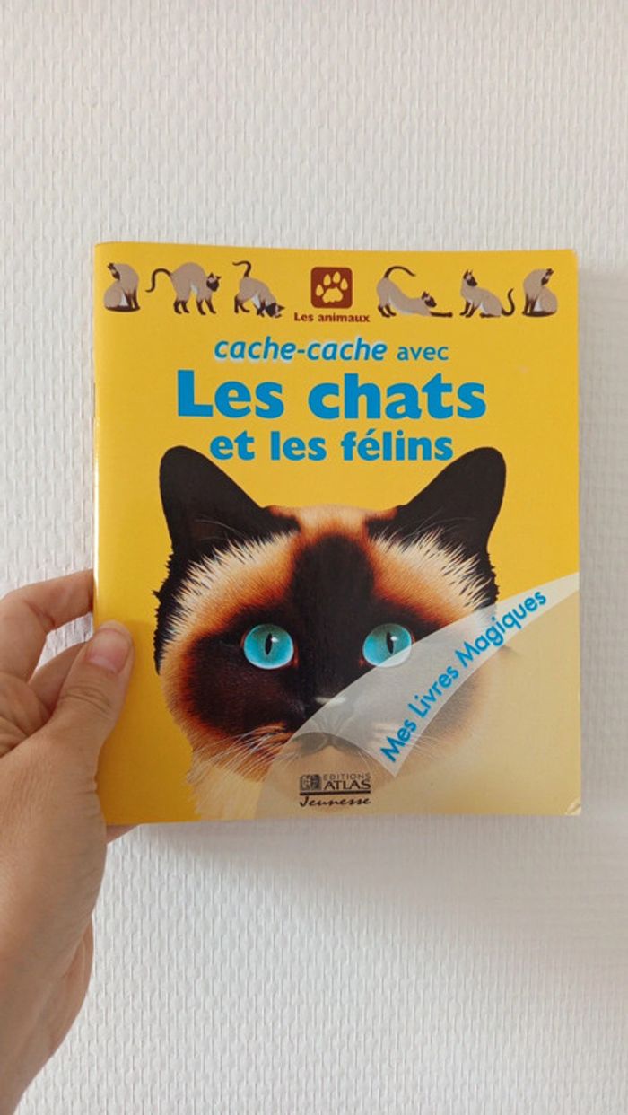 Livre interactif 🔸 les chats