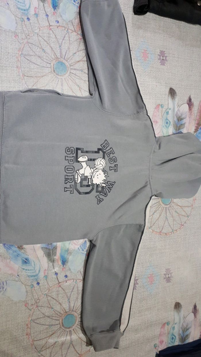 Gilet gris - photo numéro 3