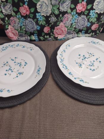 Ensemble de 2 plats ronds Arcopal motifs myosotis Veronica