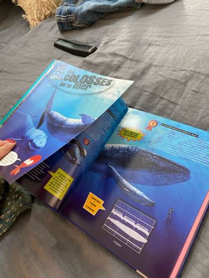 Lot de 2 livres 123 Topdoc Fleurus - photo numéro 8