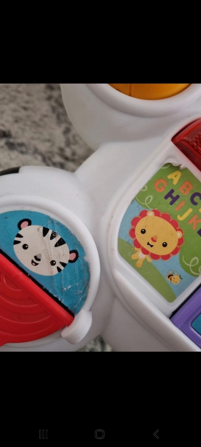 Zèbre porteur - photo numéro 2