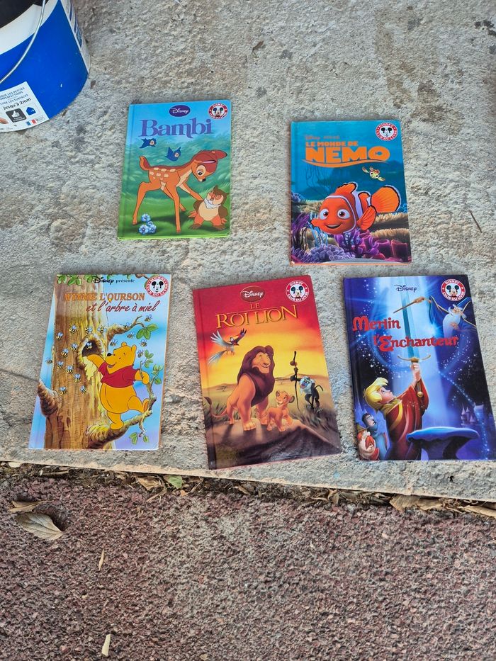 Lot livre Disney - photo numéro 3