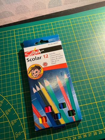 Boîte de crayons de couleur Thrivin, 12 pièces