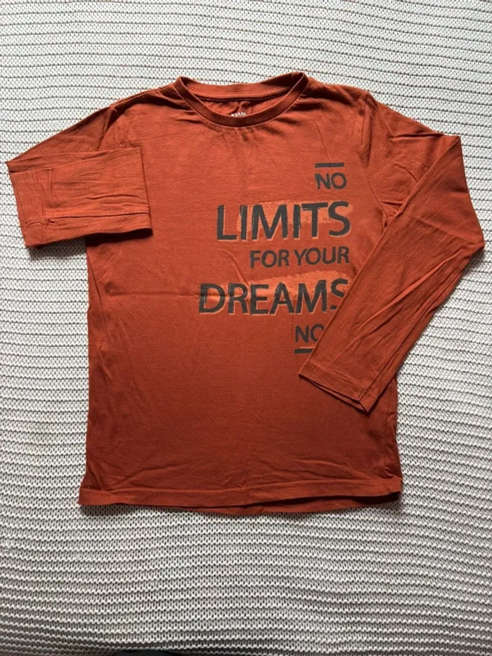 Lot de 11 t-shirts manches longues garçon 10 ans - photo numéro 12