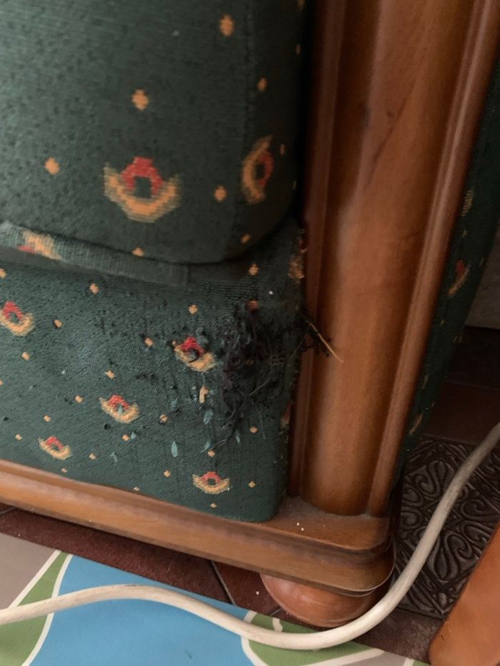 Canapé convertible - photo numéro 3