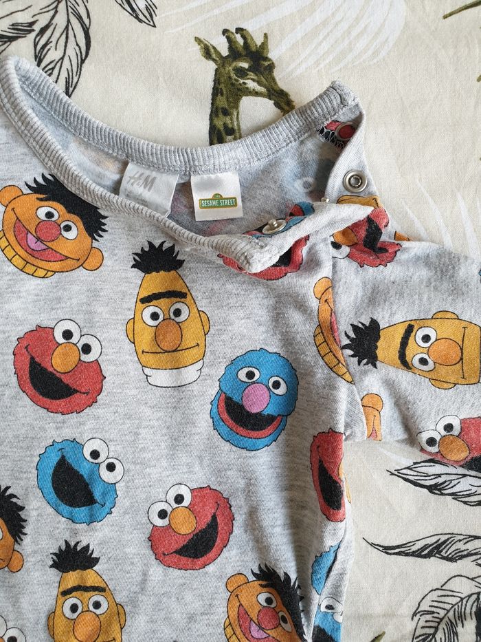 Tshirt sesame street