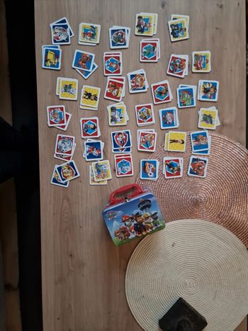 Maxi memorie pat patrouille dans boîte en métal