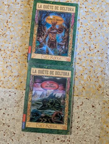 2 livres la quête de deltora