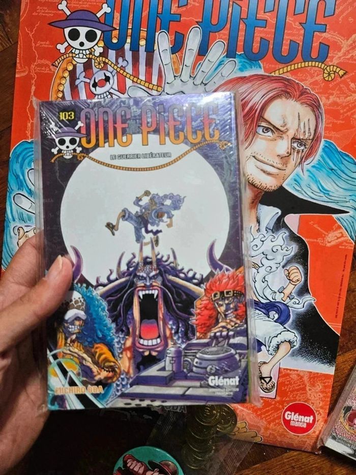 Gros lot Onepiece + la nuit Onepiece 2023 et 2024 - photo numéro 8