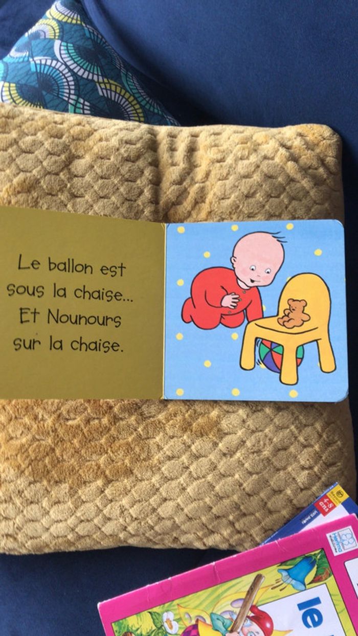 Lot de 2 livres - photo numéro 5