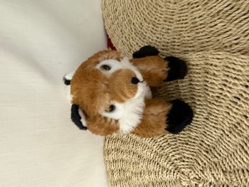 Doudou peluche renard marron blanc mollis