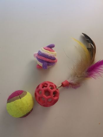 Lot 3 jouets pour chat 