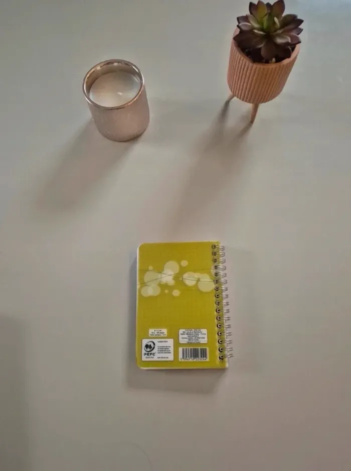 Répertoire à spirales - photo numéro 2