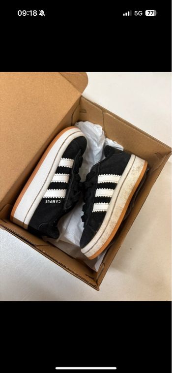 Basket adidas campus