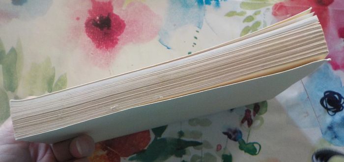 Guillemette fait des bêtises de Cecil Saint-Laurent Ed. Stock - photo numéro 4