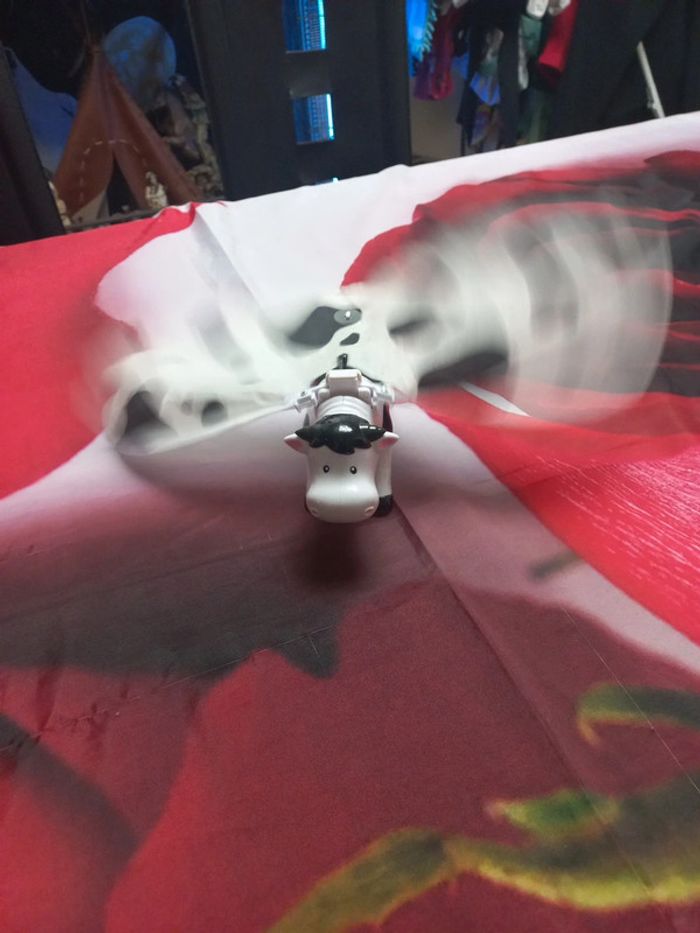 Vache - photo numéro 2