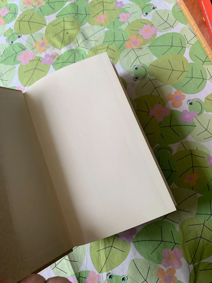 Lot romans - photo numéro 14