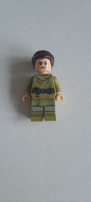 Personnage lego princesse leila