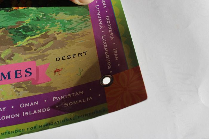 Eboo Pictorial Map of the world - photo numéro 12