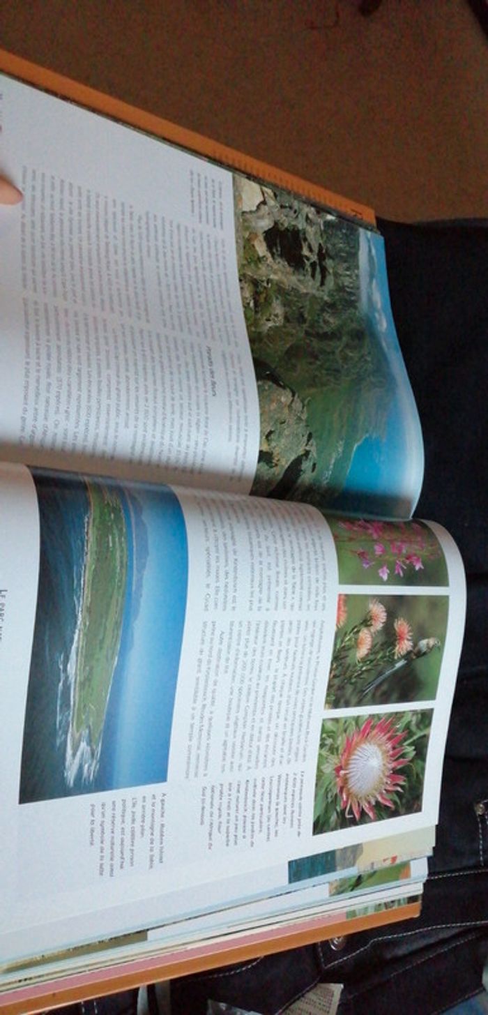 Livre l'Afrique australe - photo numéro 2