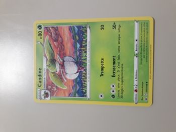 Candine carte Pokémon neuve