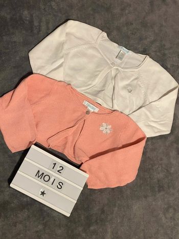 Lot 2 gilets 12mois