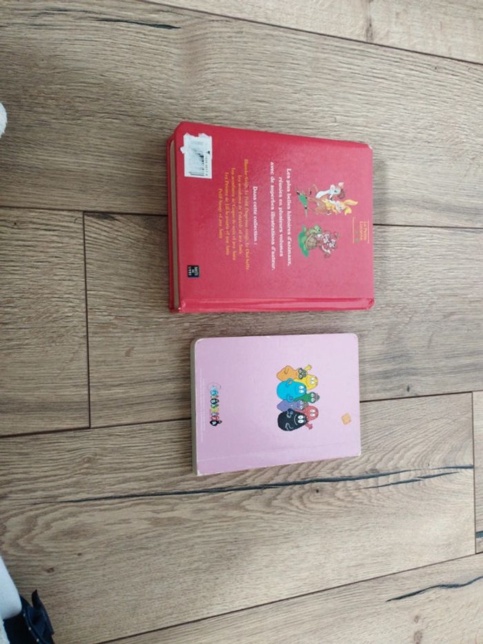 Lot de deux livres enfants - photo numéro 2