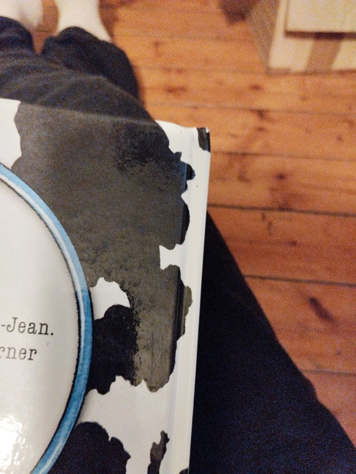 Délire dans l'étable - photo numéro 5