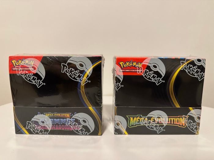 Display Pokémon mega évolution et flammes fant