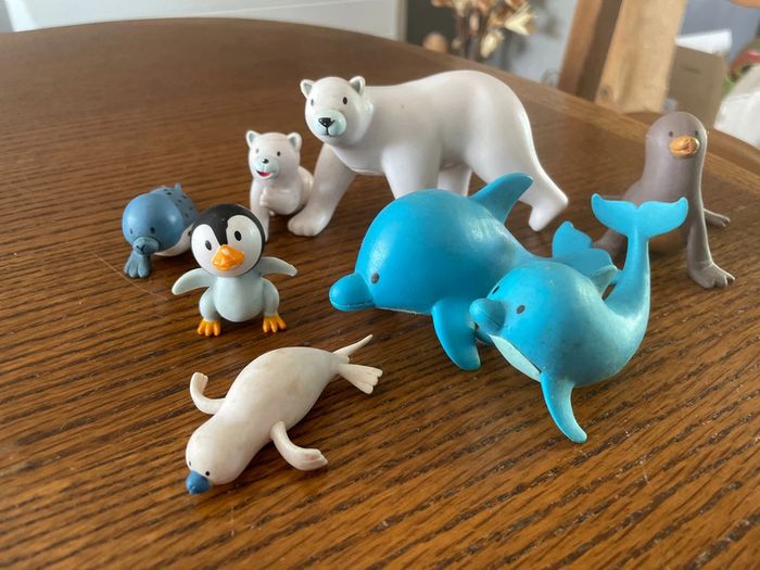 Animaux marins et de la banquise