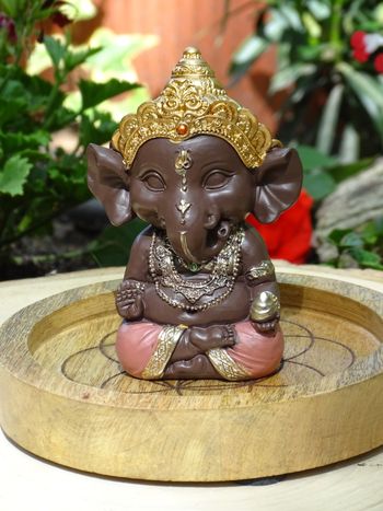Ganesh rose