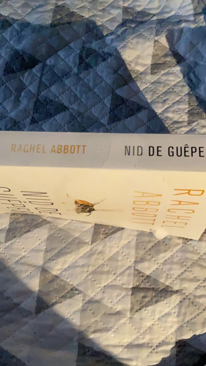 #nid de guêpes Rachel Abbot - photo numéro 6