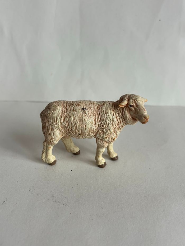 Mouton papo - photo numéro 4