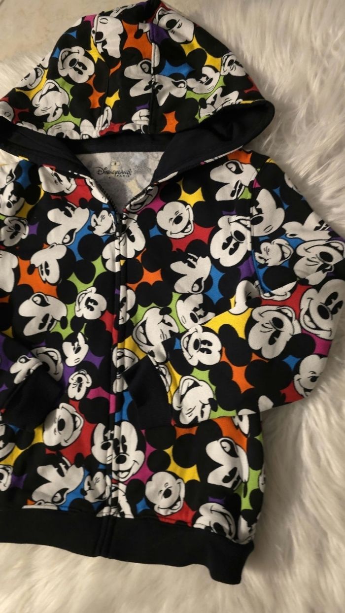 Neuf non porté  😍🥰sweat zippé molleton Disneyland paris  8 ans  unisex 🤩🥰 - photo numéro 3