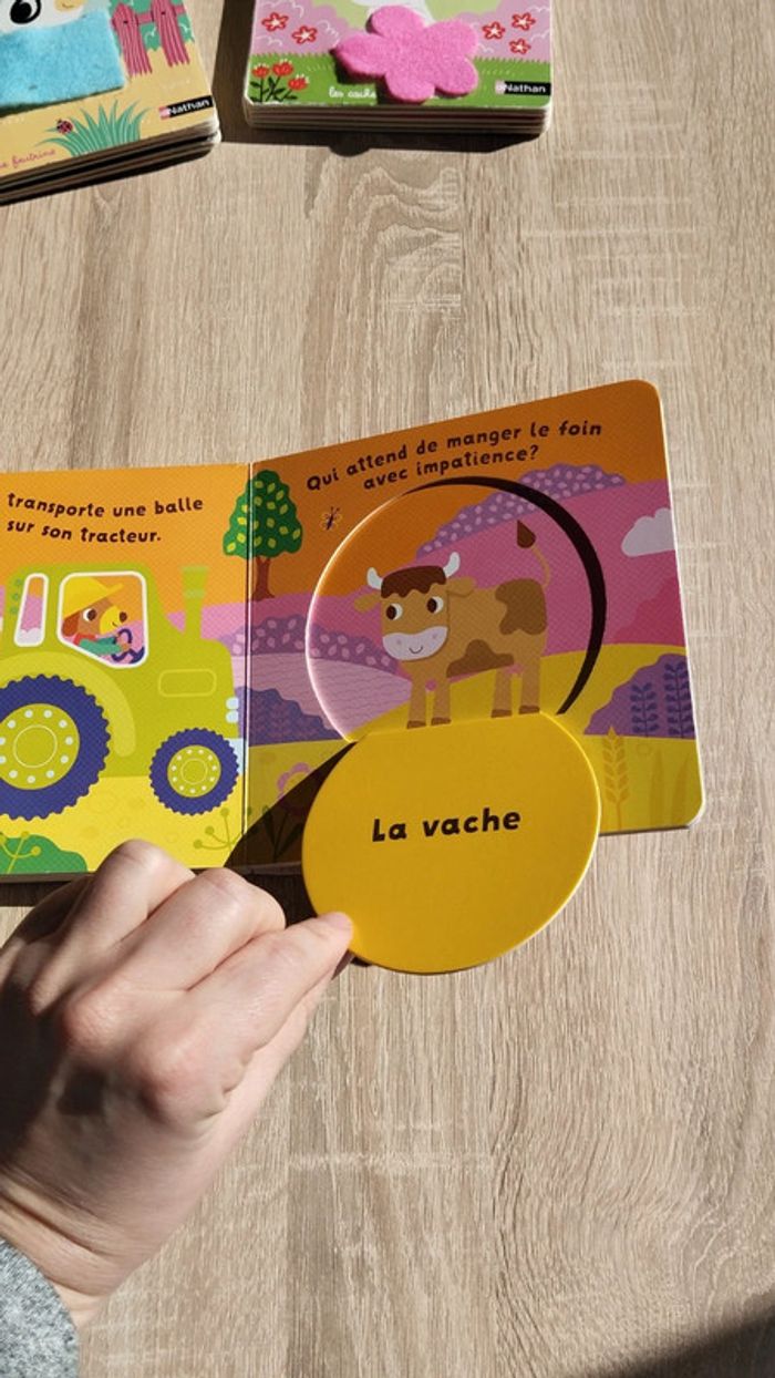 Lot livres 1er âges - photo numéro 13
