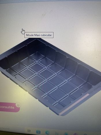 Moule maxi cubicube Guy demarle