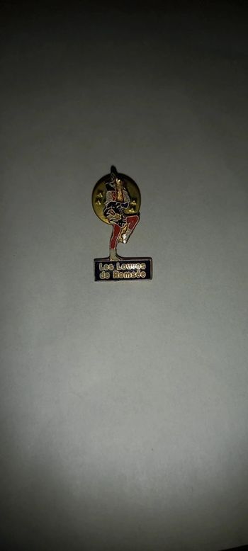 Pin's les louves de romsée