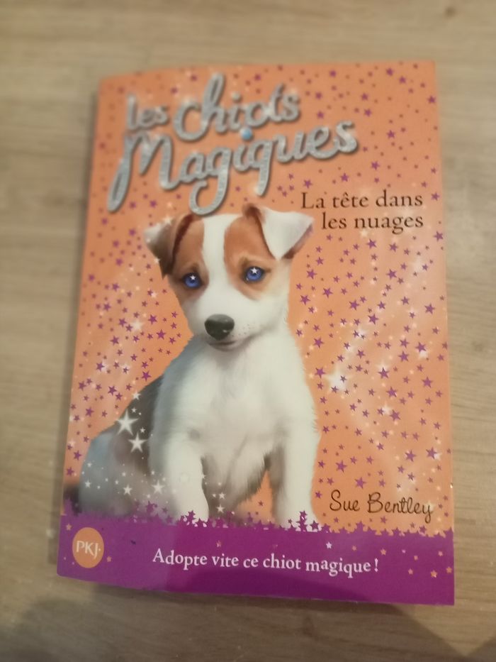 Livre - photo numéro 2