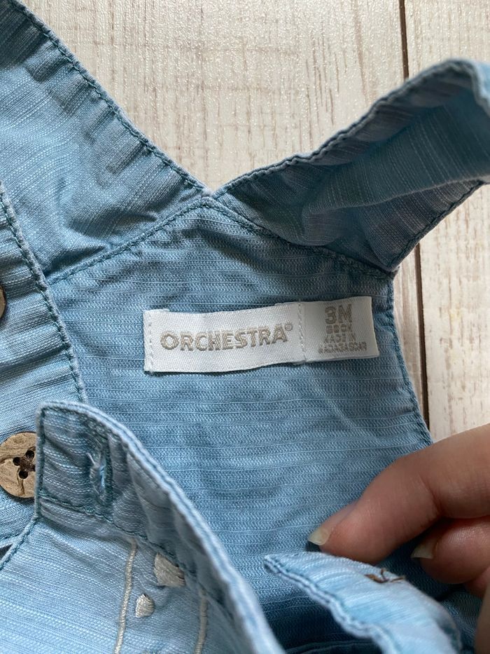 Ensemble girafe - photo numéro 7