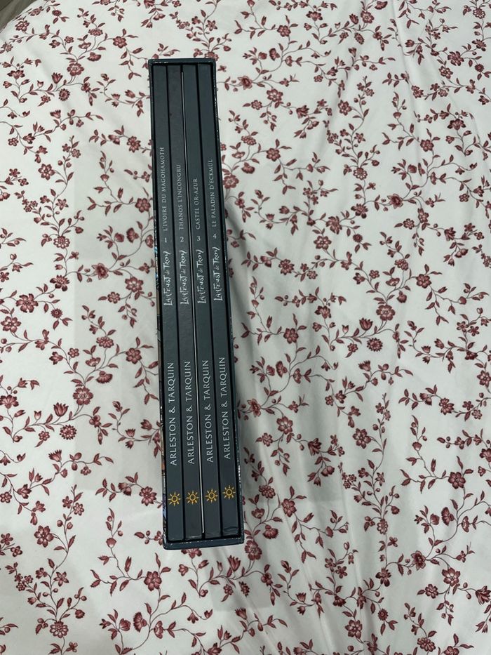 Lanfeust de Troy - photo numéro 4