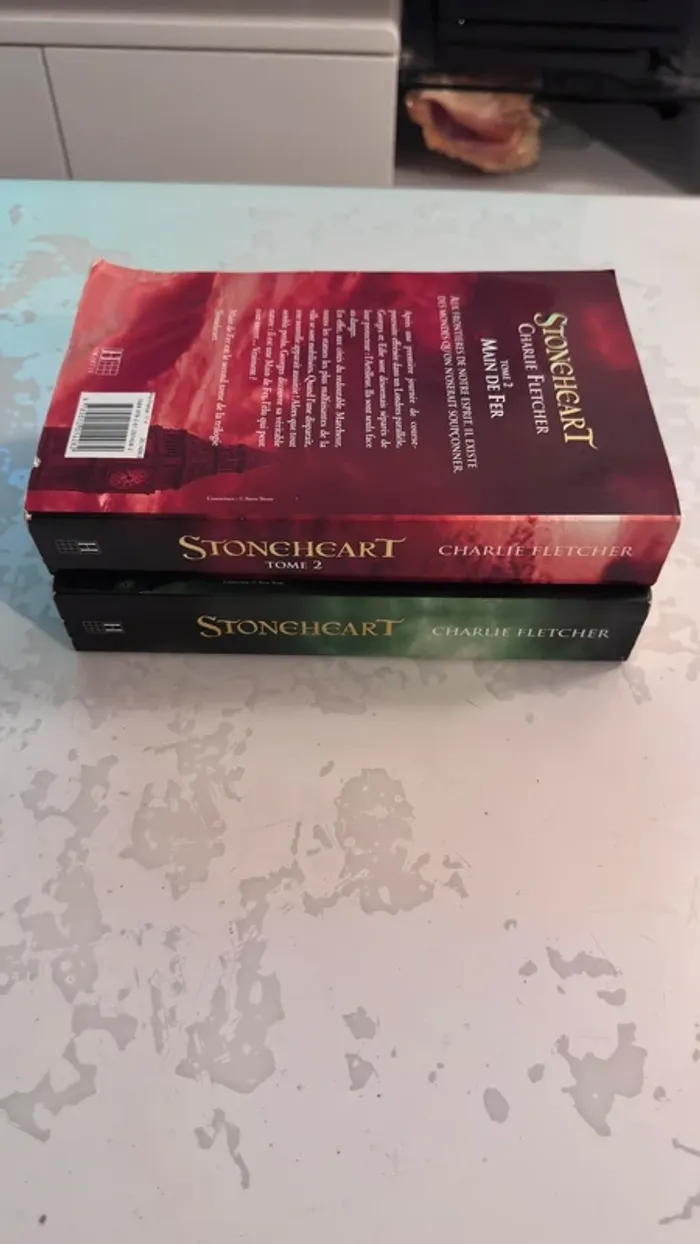 📚 Lot de 2 livres – Stoneheart (Tome 1 & Tome 2 : Main de Fer)  Charlie Fletcher – Éditions Hachette - photo numéro 3