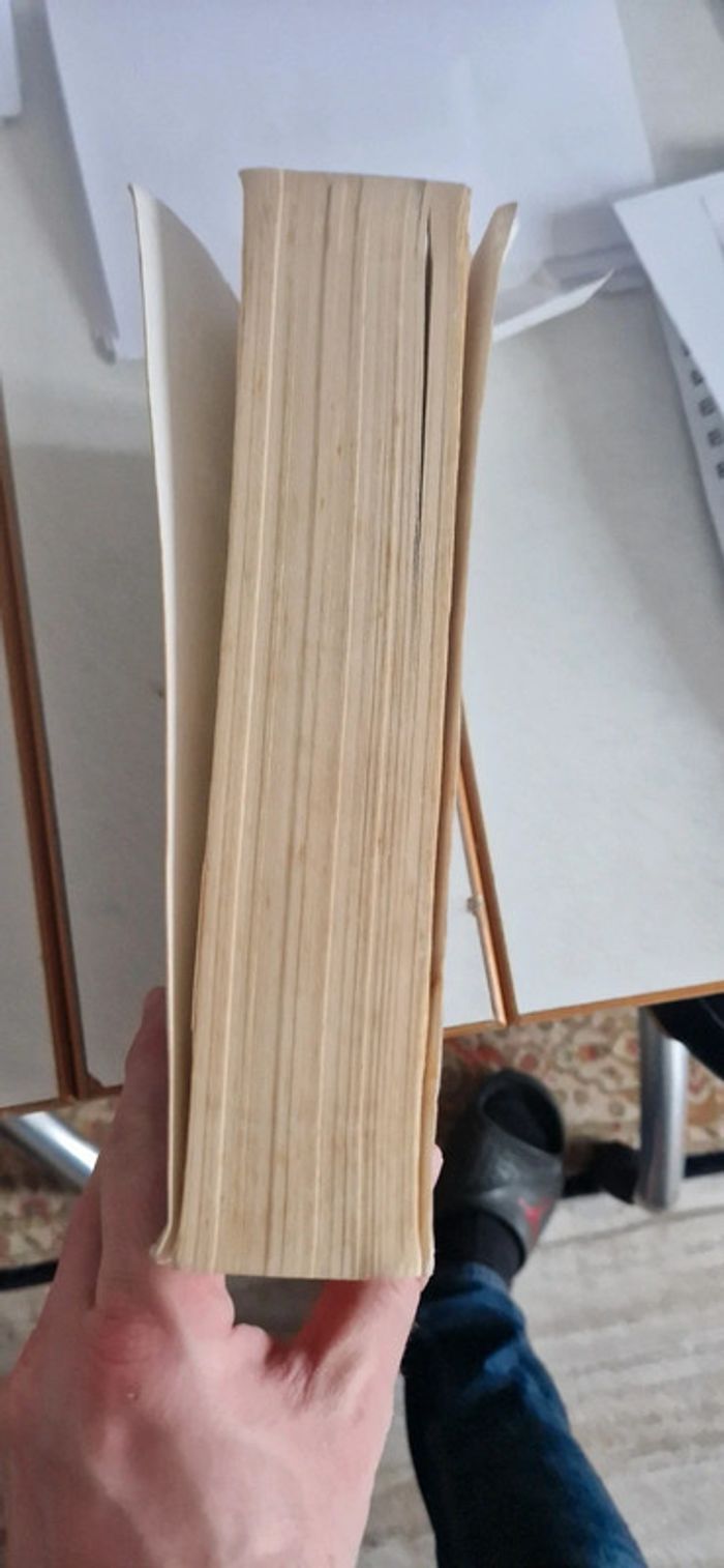 Harry potter les reliques de la mort grand format - photo numéro 5