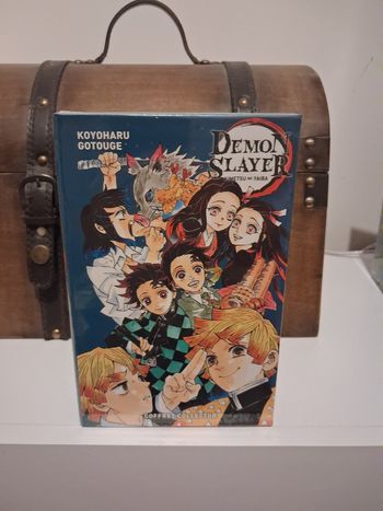 Manga Demon Slayer tome 17 coffret collector