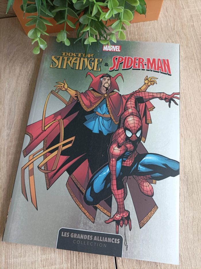 Comics Album Marvel Doctor Strange & Spider-Man Panini - photo numéro 3