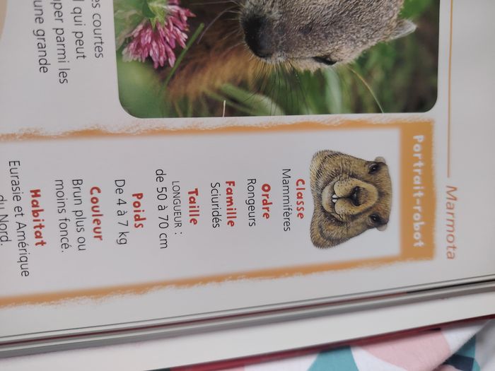 Le sais tu - photo numéro 7