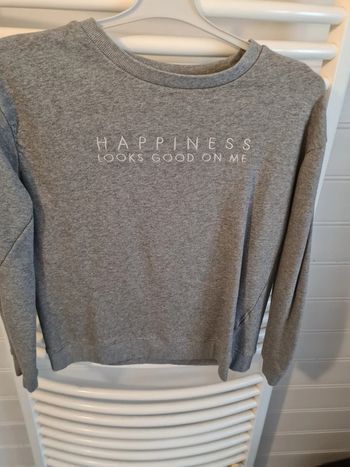 Pull gris