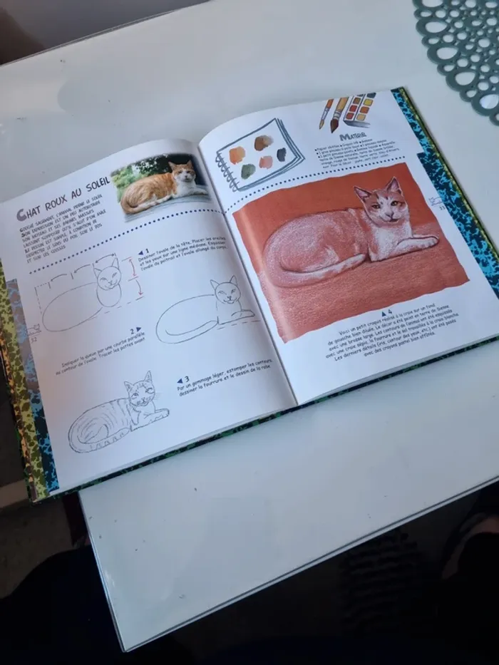 Livre "dessiner et peindre les chats" - photo numéro 6