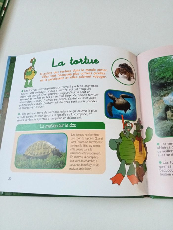 Le lièvre et la tortue - photo numéro 5